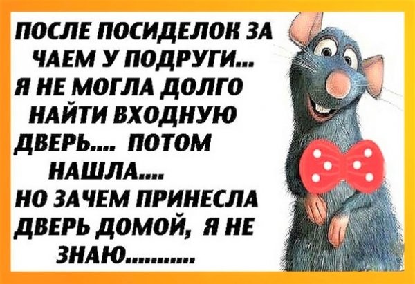 Статусы про подруг прикольные и смешные про выпивку