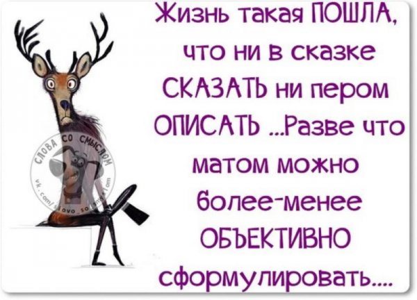 Юмористические высказывания о жизни