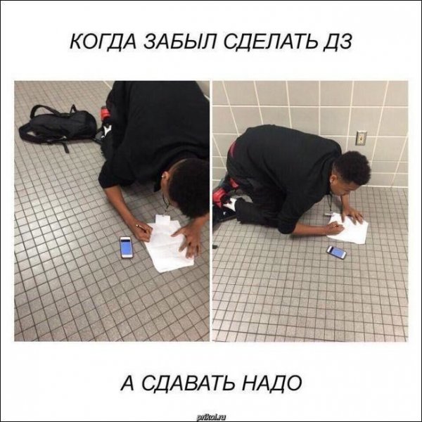 Приколы с надписями про школу