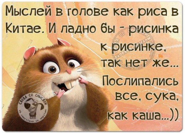 Смешные цитаты про жизнь