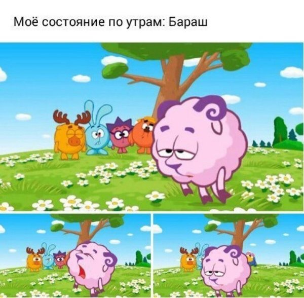 Смешарики цитаты Бараша