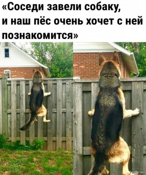 Крутые демотиваторы