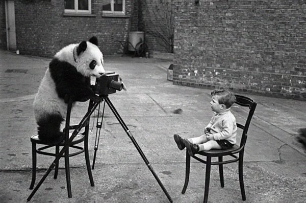 Прикольные черно белые фотографии
