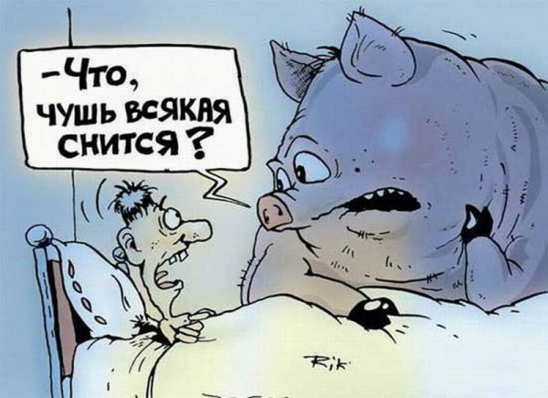 Сон карикатура