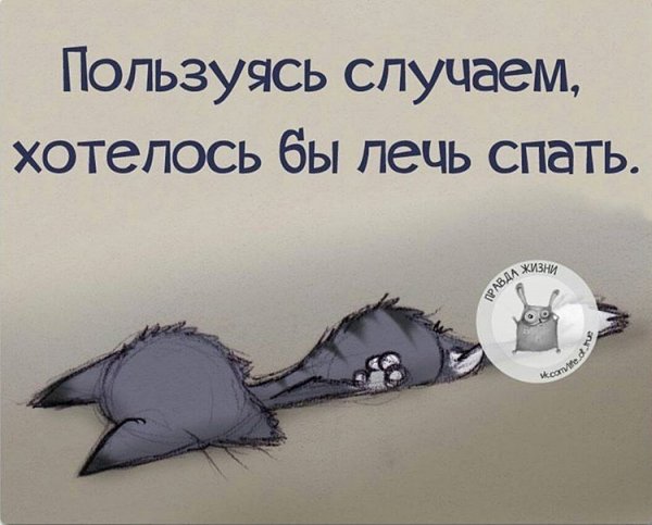 Прикольные фразы про сон
