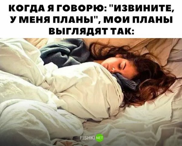Смешные картинки про сон