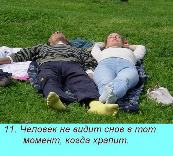 Прикольных снов