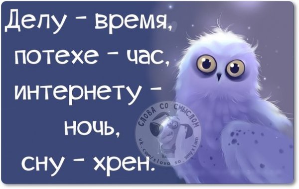 Статусы на ночь смешные