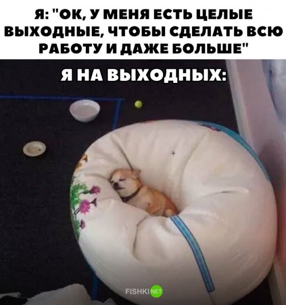 Приколы про сон
