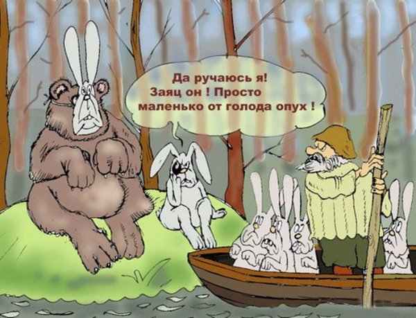 Заяц прикол