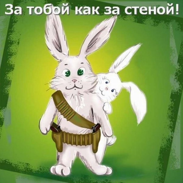 С 23 февраля заяц