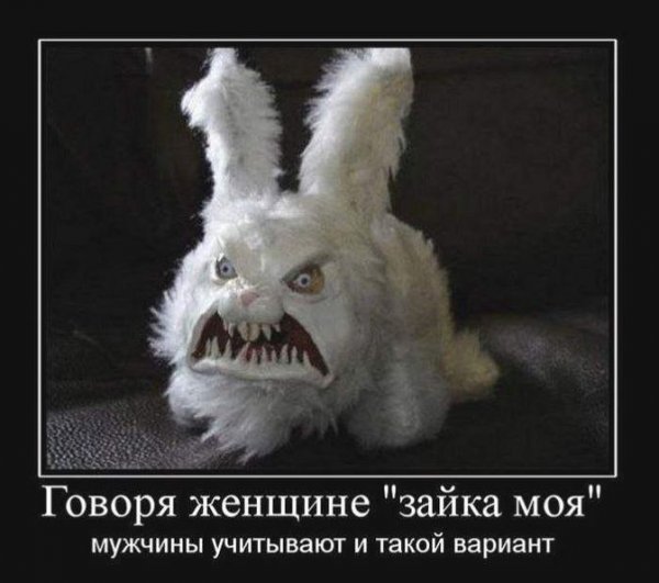 Говоря женщине Зайка моя мужчины учитывают и такой вариант