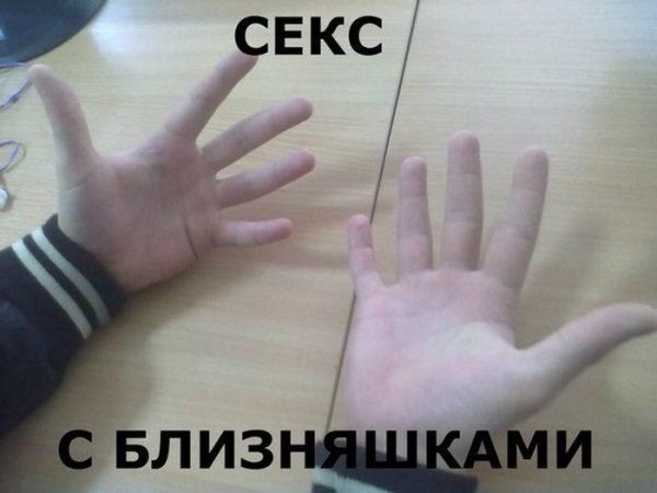 Попугай корелла смешной