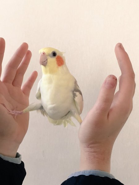 Прикольный фак