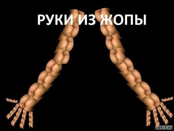Лапы белки