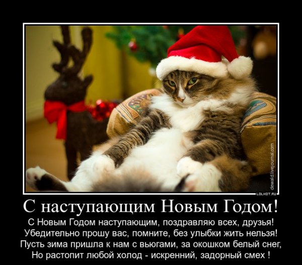 С наступающим новым годом приколы