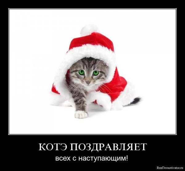 Скоро новый год приколы