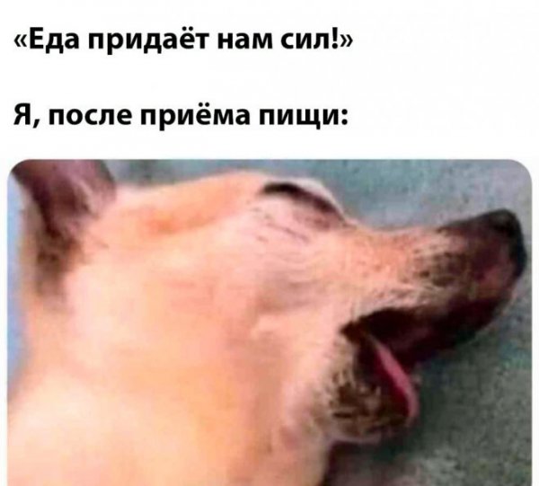 Веселое деревенское детство