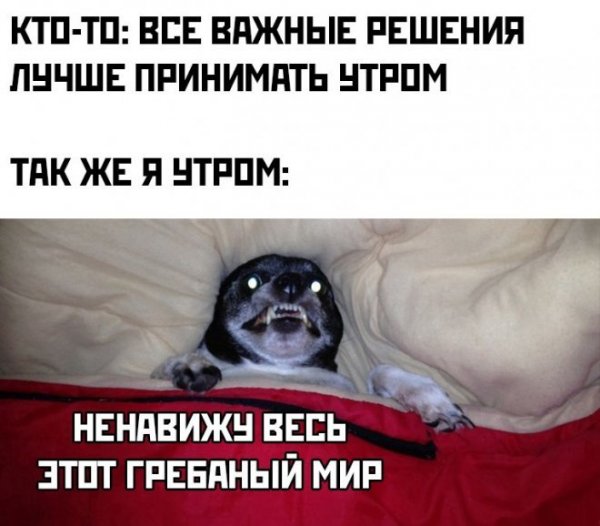 Ожидание реальность