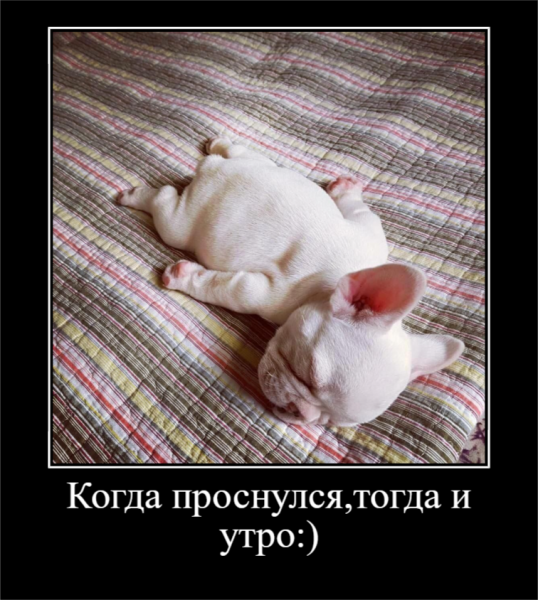 Смешные для поднятия настроения