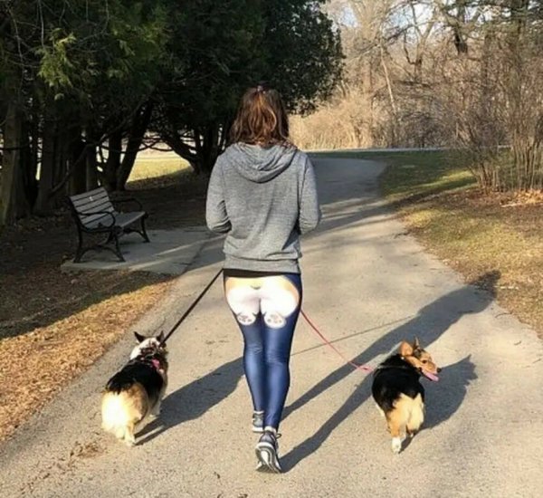 Девушка на прогулке с собакой