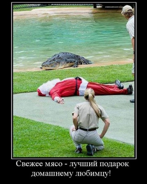 Анджелина Джоли Мем