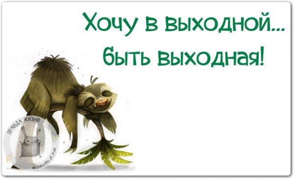 Приколы про выходные