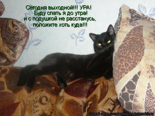 Сегодня выходной