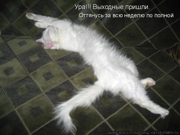 Ура выходные