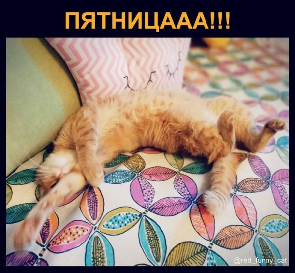 Долгожданные выходные