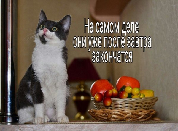 Выходной картинки