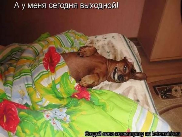 У меня выходной