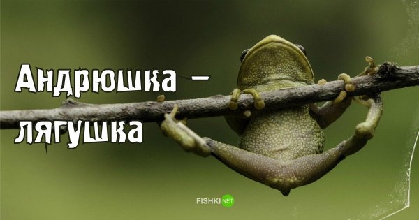 Андрей смешные рифмы