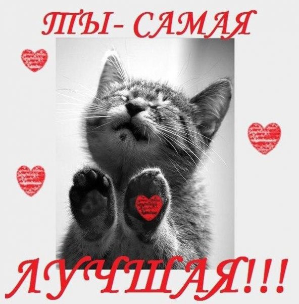 Открытки для любимой девушки прикольные