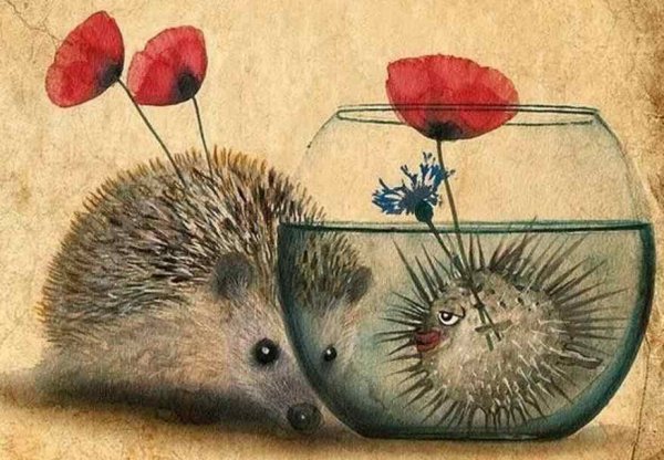 Ёжик мой любимый