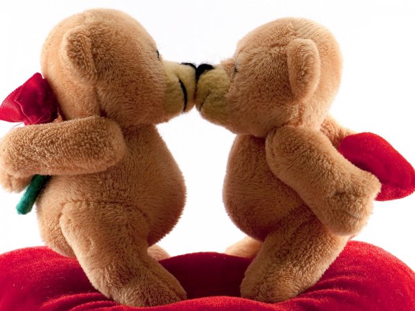Влюбленные мишки