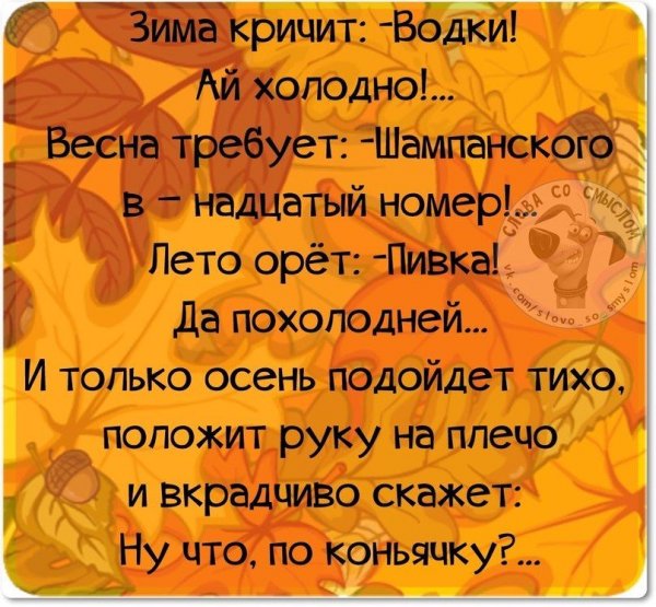 Цитаты про осень смешные