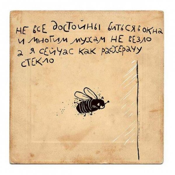 Смешные стишки в картинках