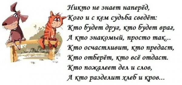 Смешные стихи про жизнь