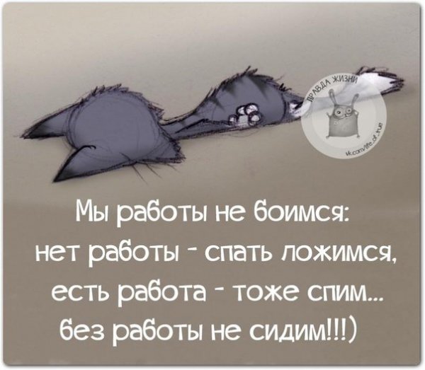 Смешные высказывания про работу