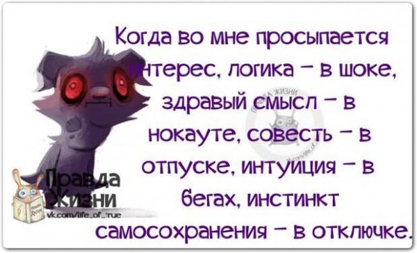 Правда жизни цитаты прикольные
