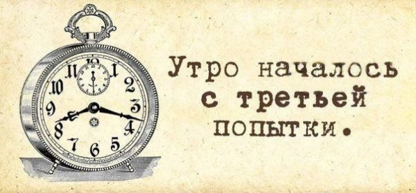 Наступило утро прикольные