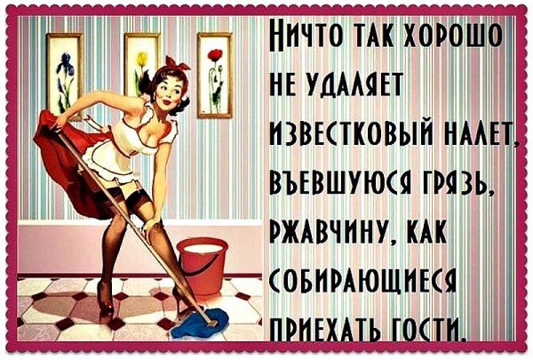 Смешные цитаты про уборку