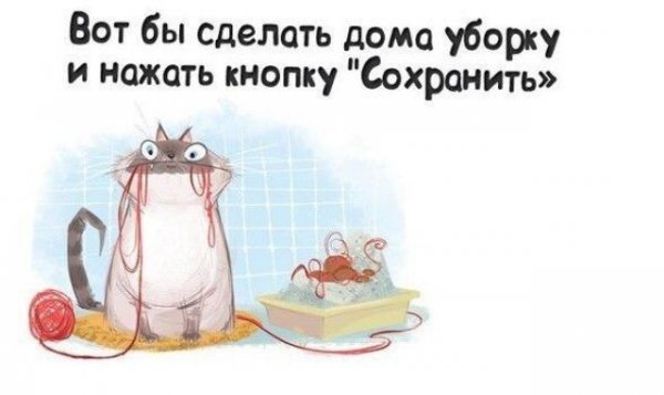 Смешные цитаты про уборку