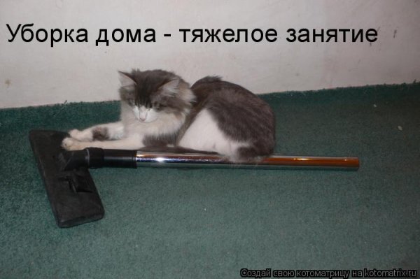 Мемы про уборку