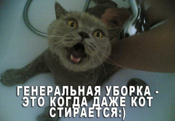 Генеральная уборка прикол