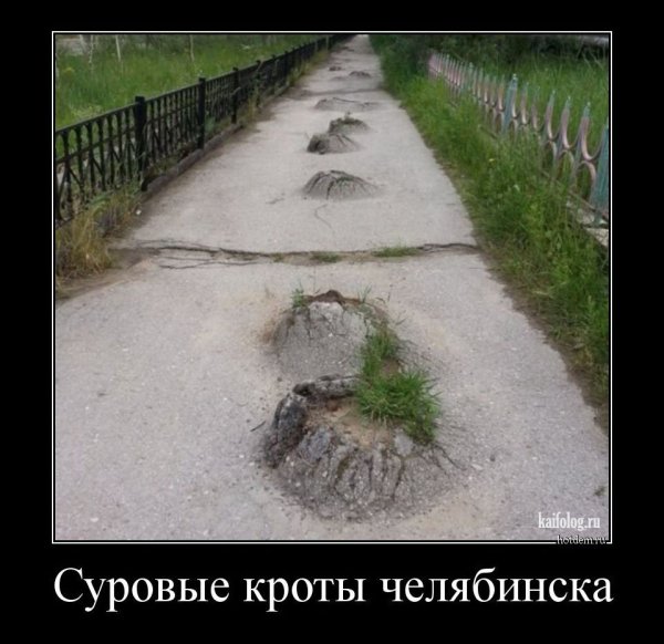Приколы про дороги