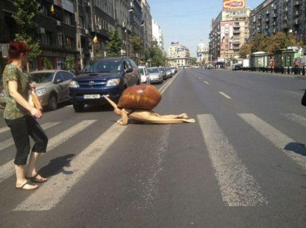 Смешные ситуации на дорогах
