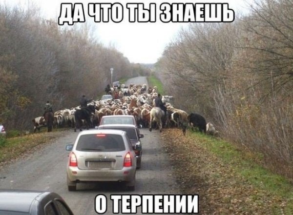 Приколы про дороги и машины