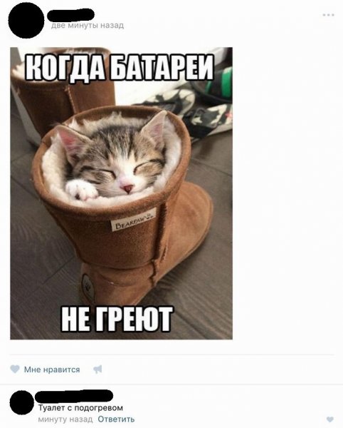 Четкие приколы с надписями